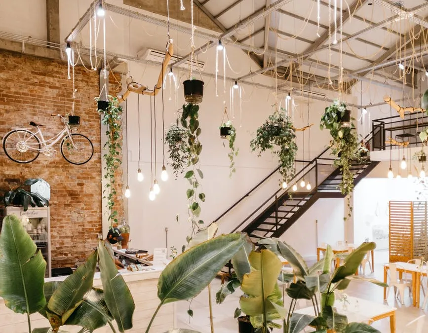 Image related to a hopeful future for green businesses