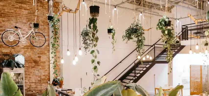 A Hopeful Future for Green Businesses
